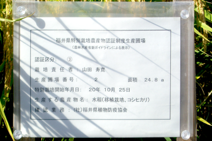 福井県認証特別栽培米:減農薬・無化学肥料栽培圃場